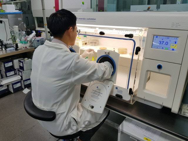 지놈앤컴퍼니 연구원이 마이크로바이옴 배양 실험을 하고 있다.