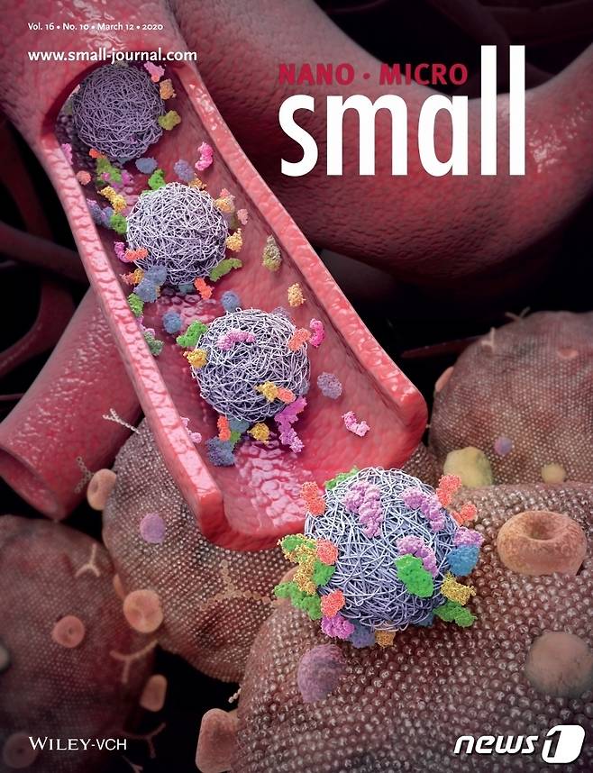이환규 교수 연구 성과를 표지에 게재한 국제학술지 Small 3월호. 실타래처럼 얽혀 있는 약물전달체 나노파티클에 혈장단백질이 붙어 덩어리를 형성, 특정 암세포에 작용하는 모습.(단국대 제공)