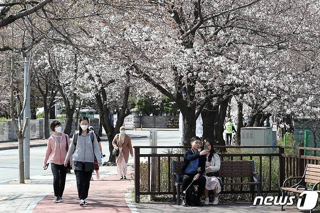 28일 서울 여의서로 봄꽃길을 찾은 시민들.  2020.3.28/뉴스1 © News1 이동해 기자