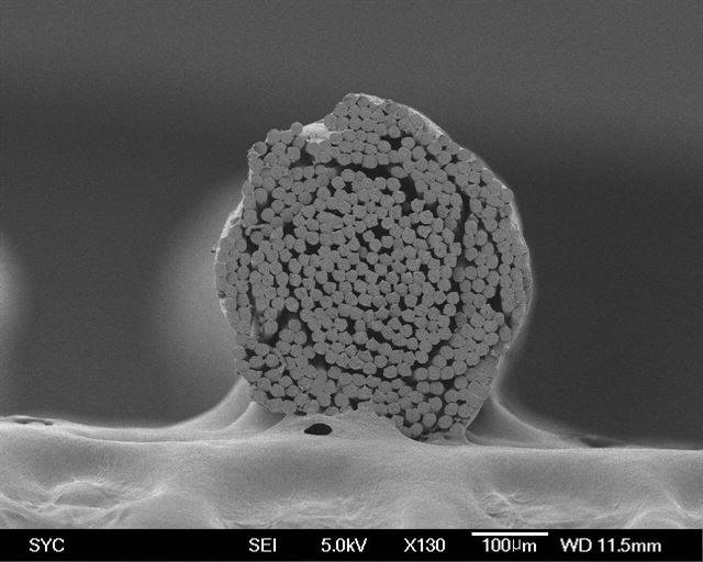 [생생과학]현미경으로 130배 확대한 멀티 필라멘트(여러 가닥의 실을 꼬아 만든 봉합사) 단면. 삼양바이오팜 제공