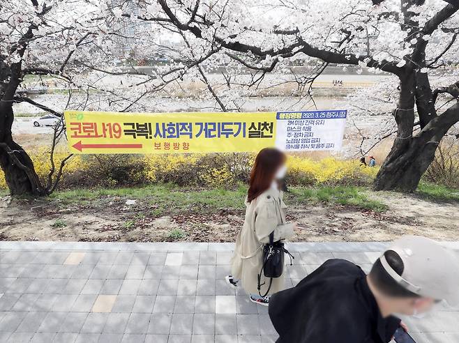 28일 오후 청주시 상당구 무심천 벚꽃길에서 시민들이 통행 방향 반대 방향으로 걷고 있다. 2020.3.28 [이승민 기자 촬영]