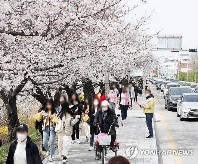 '사회적 거리두기 어디에' (청주=연합뉴스) 이승민 기자 = 28일 오후 청주시 상당구 무심천변 벚꽃길이 시민들로 북적이고 있다. 2020.3.28 logos@yna.co.kr