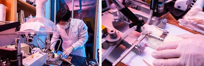 이보름 교수 연구실에서 연구하는 다양한 생체신호 연구 중 하나인 전극을 통한 신경 신호 측정 실험 모습이다. 동물을 이용해 진행한다. 동아사이언스 제공