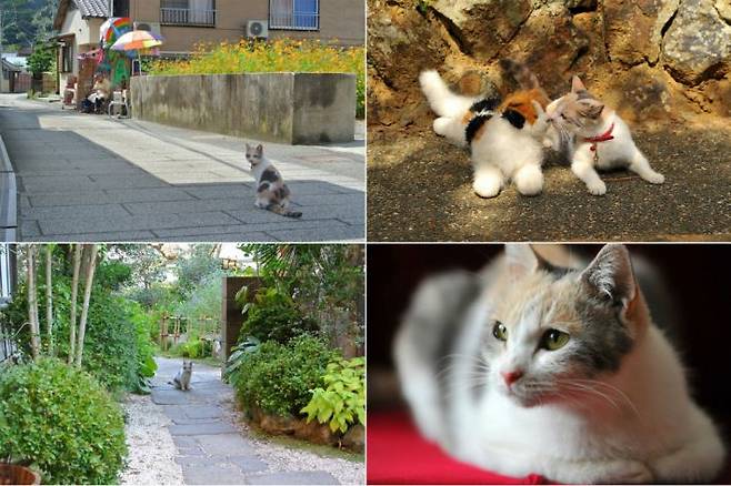 (사진=찬란 제공)