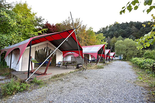 가평 산으로 간 니모 캠핑장