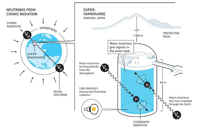 슈퍼-카미오칸데가 대기의 중성미자를 탐지해 진동변환을 증명한 실험 과정을 요약했다. 탱크 안에서 중성미자가 물 분자와 충돌할 때 빠르게 대전된 입자가 만들어진다. 이 과정에서 체렌코프 복사가 발생하며, 이는 빛 센서에 의해 측정된다. 체렌코프 복사의 형태와 강도는 이 반응을 일으킨 중성미자의 종류와 그것이 어디서 왔는지를 드러낸다. 위로부터 슈퍼-카미오칸데에 도착한 뮤온-중성미자는 전체 지구에서 이동해온 것 보다 더 많았다. 이것은 오래 이동해온 뮤온 중성미자가 그동안 다른 성질로 바뀌었다는 것을 나타낸다. 이번 실험에서는 295km 떨어진 J-PARC에서 만들어진 중성미자와 반중성미자를 탐지해 두 입자의 진동변환 특성이 다름을 추정해 대칭 깨짐이 있을 가능성이 높다고 결론 내렸다. 추가 데이터가 쌓이면 보다 분명히 확인할 수 있을 것으로 보인다. 노벨재단 제공