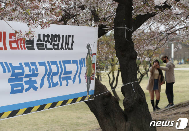 지난 10일 오후 서울 여의도 한강공원 벚꽃길.  (자료사진) © News1 신웅수 기자
