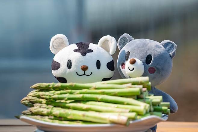 감자 10㎏ 20만6000상자를 모두 완판한 최문순 강원도지사가 이번엔 아스파라거스를 판매한다./사진=최문순 강원도지사 트위터