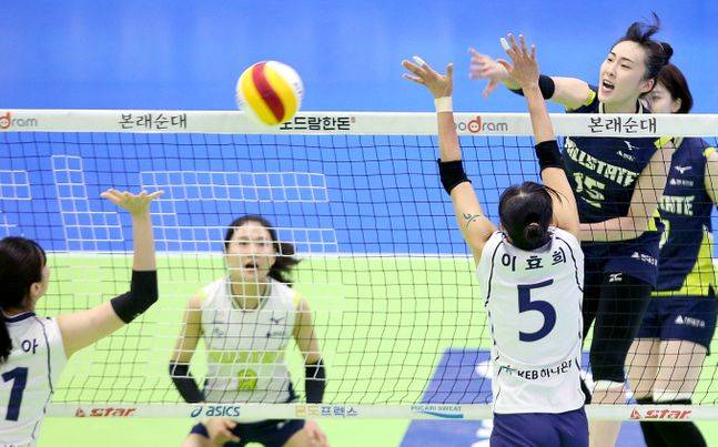 황민경과 김연견의 계약 내용이 공개됐다. ⓒ 현대건설