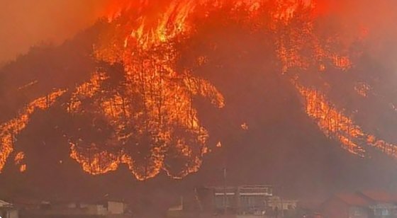 25일 오후 경북 안동시 풍천면 인금리에서 발생한 산불이 산 아래 농촌마을까지 확산되고 있다. 뉴스1