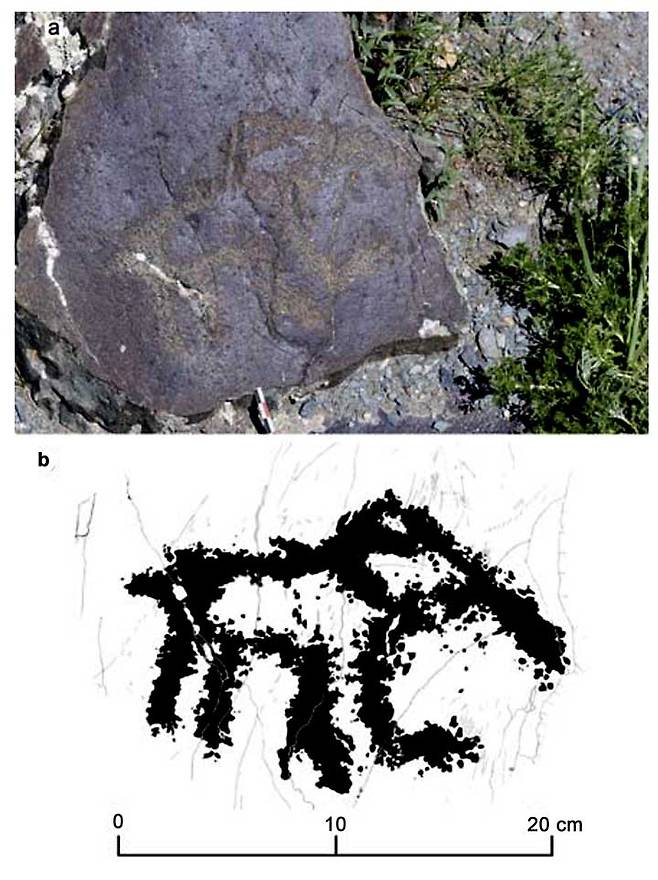 2017년 바가오이고르 3번 유적지에서 발견된 매머드 새끼 암각화(사진=드미트리 체레미신 등)