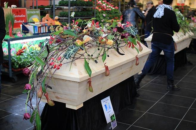 꽃,일상을 품다 제공