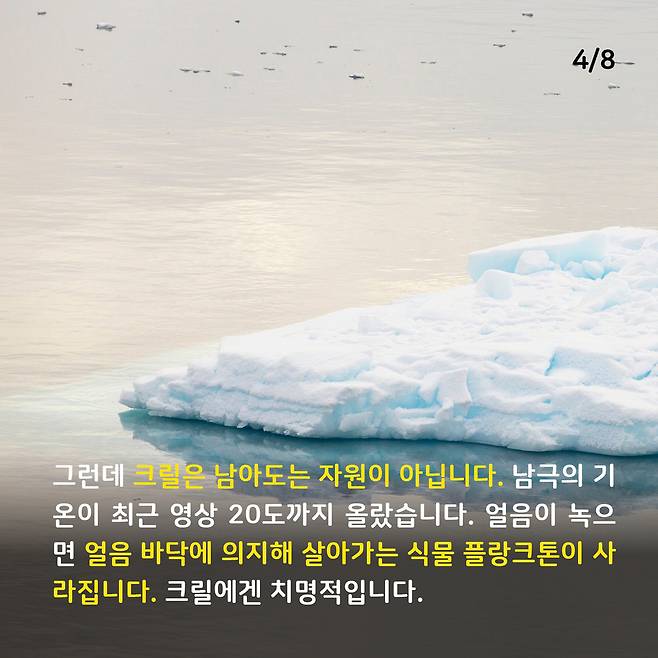 애니멀피플