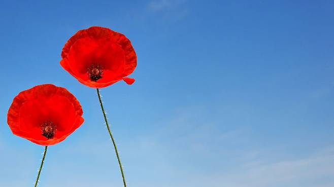 아내와 나, 이렇게 서로에 대한 이해가 깊어져갑니다.
