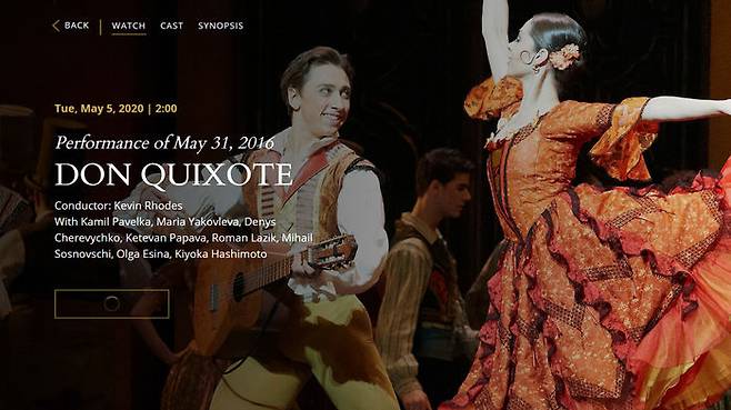 발레 '돈키호테' (사진=빈 국립발레단 홈페이지 캡쳐)