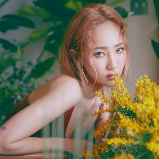 핫펠트 예은