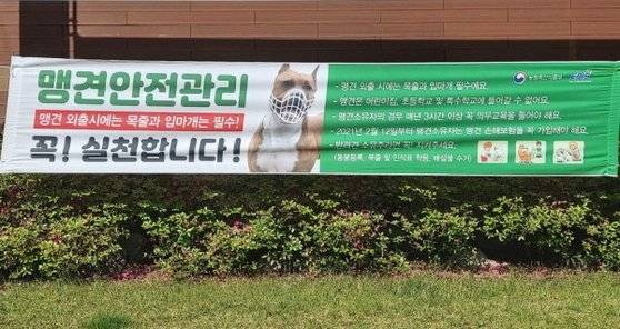 반려견 소유자의 안전관리 의무에 대한 홍보 현수막. [사진 전남 곡성군]