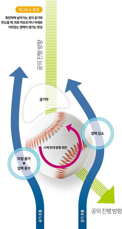 마그누스 효과