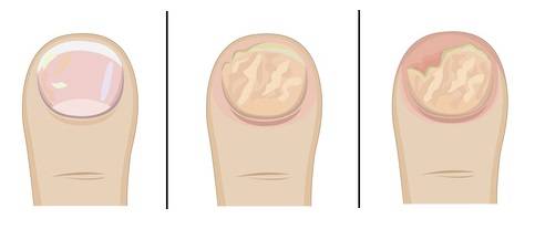 [사진=Scio21/gettyimagesbank]