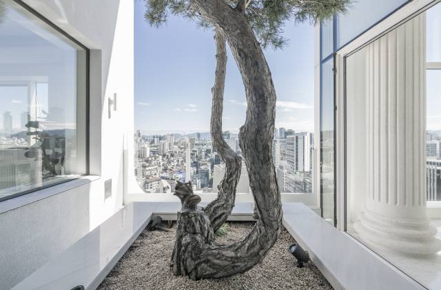 몽유도원도 옥탑층에 위치한 중정. 소나무는 이상봉 디자이너가 직접 골랐다. /사진제공=ⓒSergio pirrone