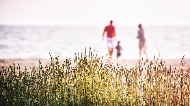 무엇보다 육아 휴직 기간은 ​'진정한 가족'의 의미를 깨달을 수 있는 시간이었다.