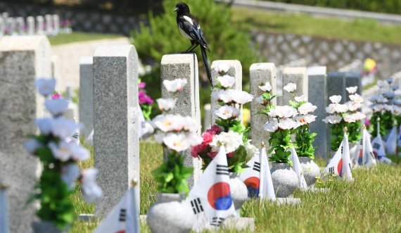 6.25전쟁 69주년을 하루 앞둔 24일 서울 동작구 국립서울현충원에서 까치 한 마리가 묘역에 올라있다. 사진=김범석 기자 /사진=fnDB