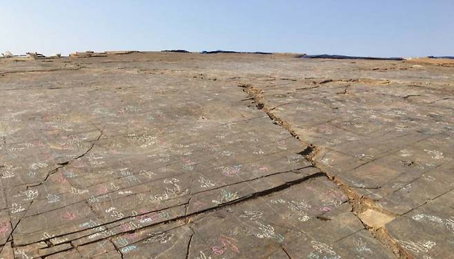 진주 정촌 뿌리일반산업단지 내 백악기 공룡 익룡 발자국 화석.(문화재청 제공) 2019.08.22/ 뉴스1