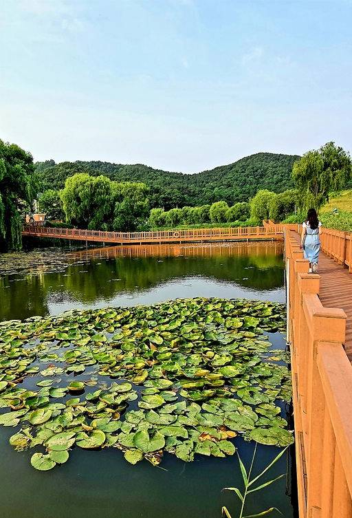 하동천생태탐방로