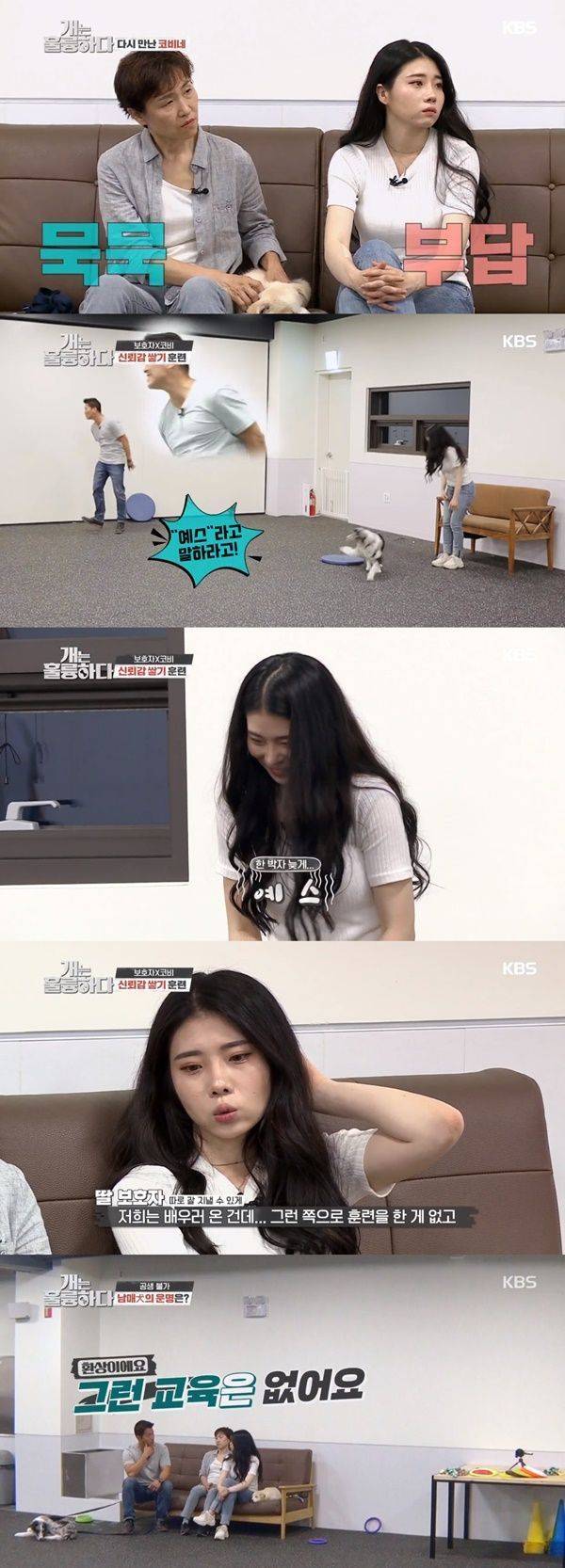 개훌륭 보더콜리 / 사진=KBS2 개는 훌륭하다