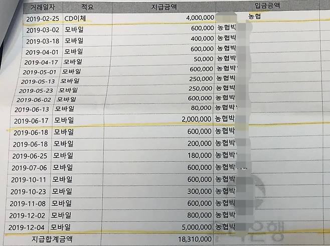 피해를 호소하는 학부모들이 스포츠에이전시 B사의 대표 박씨에게 송금한 내역. 독자 제공