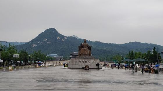 24일 오전 장맛비가 내리기 시작한 서울 광화문광장에서 시민들이 우산을 쓰고 지나가고 있다. 김정연 기자
