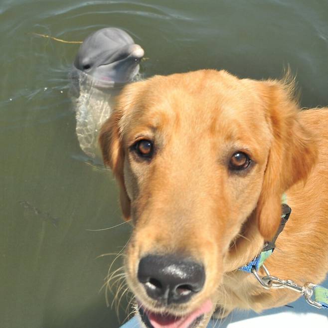 델타와 즐거운 한때를 보내고 있는 거너. 돌고래연구센터 제공