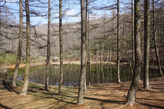 고한읍 만항재에서 신동읍 함백역(40Km)까지 연결된 산중 도로인 운탄고도에 위치한 도롱이연못. 1970년 탄광 갱도의 지반 침하로 생겨났다. 광부 아내들이 이 연못에 도롱뇽이 살아 있음을 확인하는 것으로 마음을 놓았다고 한다.