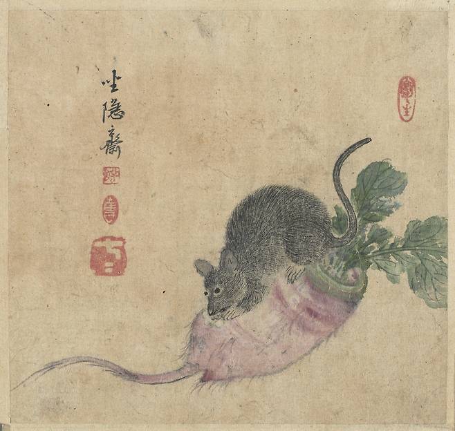 간송미술관이 소장하고 있는 최북의 ‘서설홍청(鼠囓紅菁)’. 쥐가 붉은 순무를 갉아먹는 모습을 그린 작품이다. 18세기, 종이에 채색, 19.0(세로)×20.0(가로)㎝. 간송미술관에는 심사정이 그린 같은 제목의 작품이 1점 더 있다. 간송미술문화재단 제공