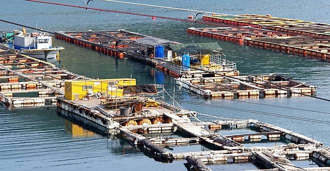 노동력 착취 피해자가 일한 통영 가두리양식장. [연합]