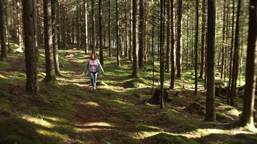 숲속에서 배회하는 티나. 트롤은 생식기가 인간과 다르고, 벌레를 먹는다. [조이앤시네마 제공]