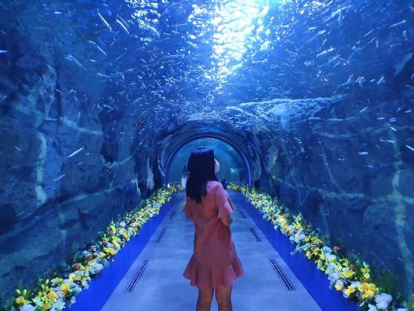 아쿠아플라넷 여수 전시장 내부.