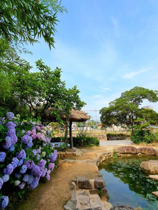 사의재 수국