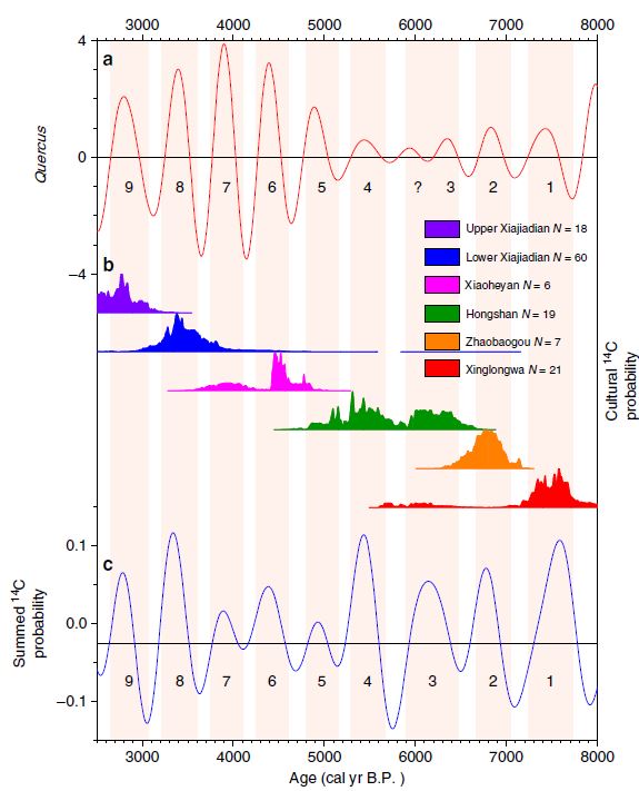 백두산 북서쪽 300㎞에 있는 샤오룽완 호수 퇴적층에 포함된 참나무(Quercus) 꽃가루 양 분석 데이터 그래프(위)와 네이멍구자치구와 랴오닝성 일대의 신석기・청동기 유물 방사성탄소연대측정 시료 양을 보여주는 그래프(아래)는 2500~8000년 전 기간 동안 거의 일치하는 대략 500년의 주기성을 보인다. 가운데는 이 시기 존재한 6개 문화다. 네이처 커뮤니케이션즈 제공