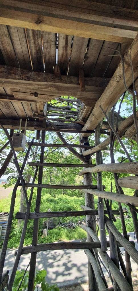 트리하우스로 오르는 비상계단[사진/성연재 기자]