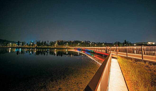 탁 트인 호수를 따라 걷기 좋은 서울식물원 호수원 야경.