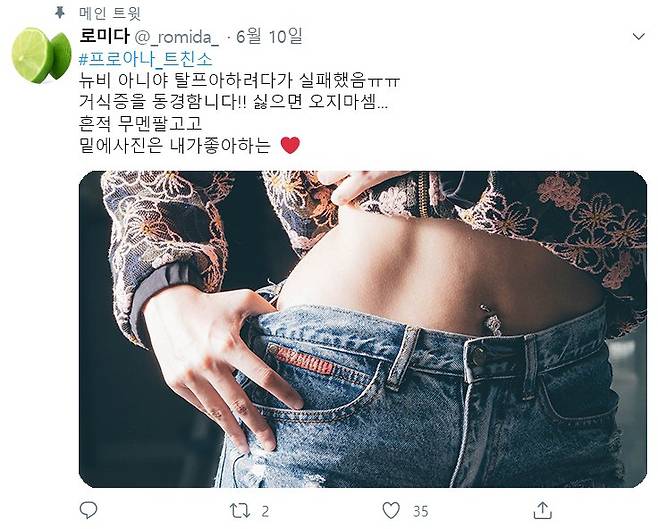 트위터에 '프로아나'를 검색했을 때 나오는 게시물 중 하나. 아이디, 닉네임, 프로필 사진은 가상으로 재구성했다. '뉴비'는 풋내기, '무멘팔'은 '멘션 없이 팔로우'를 뜻한다. [트위터 캡처, pixabay]