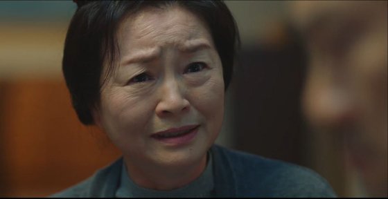 tvN 드라마 '(아는 건 별로 없지만) 가족입니다'의 진숙 역 원미경. [방송캡처]