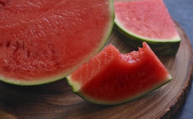 픽사베이 제공