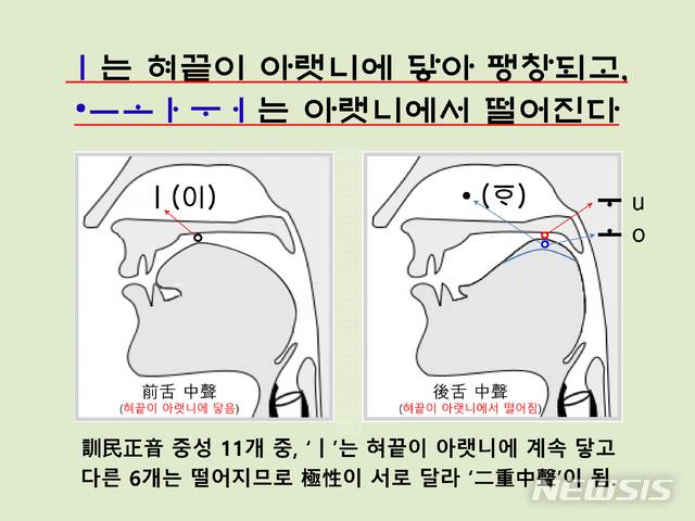 [서울=뉴시스] <사진②> 훈민정음 중성 ‘ㅣ’는 혀끝이 아랫니까지 닿아 펴지는 ‘전설중성’이다. 훈민정음 11개 중성 중에서 ‘•ㅗㅜ’, ‘ㅡㅏㅓ’는 혀의 위치 또는 상태가 ‘후설’ 또는 ‘중설’이어서, ‘ㅣ’는 그것들과 서로 합쳐져 혀의 위치가 달라지는 ‘이중중성(二重中聲: 복중성)’이 될 수 있다.