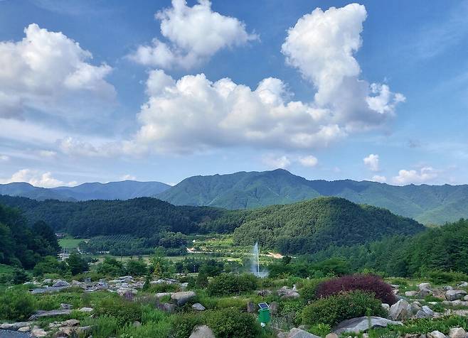 지난 9일 경북 봉화군 춘양면 국립 백두대간 수목원 ‘암석원’ 풍경. 김선식 기자