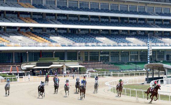 지난달 과천 렛츠런파크 경마장에서 재개된 무관중 경마. 중앙포토