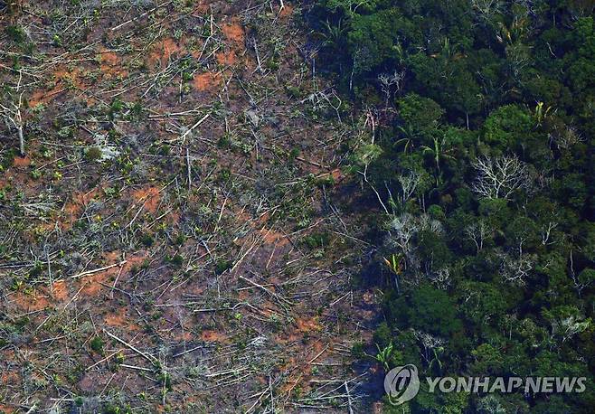 벌목으로 파괴된 아마존 열대우림. [AFP=연합뉴스 자료사진]