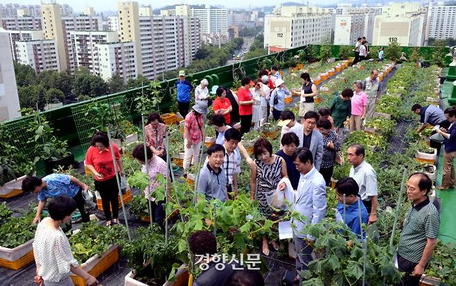 서울 노원구 하계동 한신 아파트 옥상에는 주민들이 가꾸는 텃밭이 있다. 200여평 규모에 주민들이 직접 가꾼 채소와 과일들을 공동수확하고 있다.  / 김기남 기자