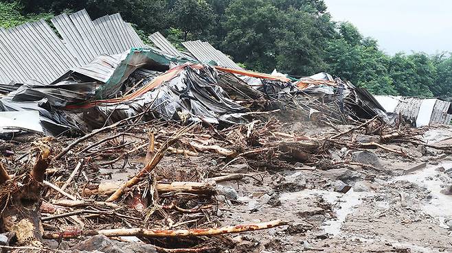 산사태가 덮쳐 무너진 경기도 안성시 일죽면의 한 양계장
